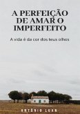 A Perfeição De Amar O Imperfeito (eBook, PDF)