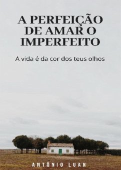 Cover A Perfeição De Amar O Imperfeito (eBook, PDF)