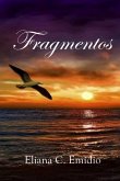 Fragmentos (eBook, PDF)
