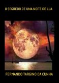 O Segredo De Uma Noite De Lua (eBook, PDF)