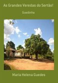 As Grandes Veredas Do Sertão! (eBook, PDF)