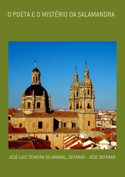 O Poeta E O Mistério Da Salamandra (eBook, PDF)