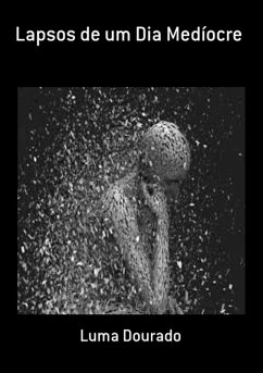 Cover Lapsos De Um Dia Medíocre (eBook, PDF)