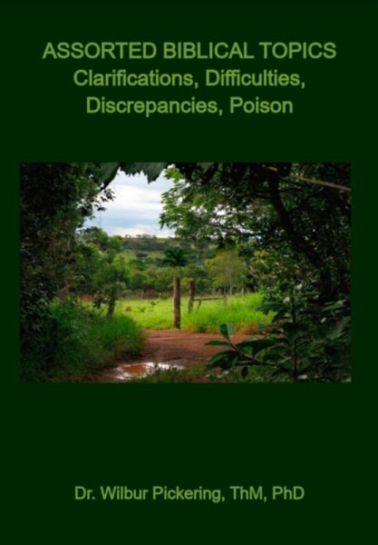 Assorted Biblical Topics (eBook, PDF) Assorted Biblical Topics (eBook, PDF)
