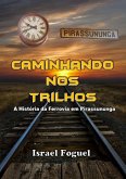 Caminhando Nos Trilhos (eBook, PDF)