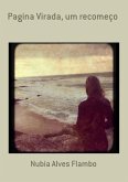 Pagina Virada, Um Recomeço (eBook, PDF)