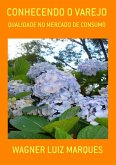 Conhecendo O Varejo (eBook, PDF)