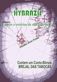 Hybrazil (eBook, PDF)