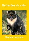 Reflexões Da Vida (eBook, PDF)