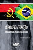 Sociologia & Educação: Múltiplos Olhares Do Ensino No Brasil E Em Angola (eBook, PDF)