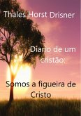 Diário De Um Cristão: (eBook, PDF)