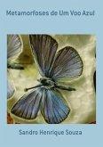 Metamorfoses De Um Voo Azul (eBook, PDF)