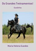 Os Grandes Treinamentos! (eBook, PDF)