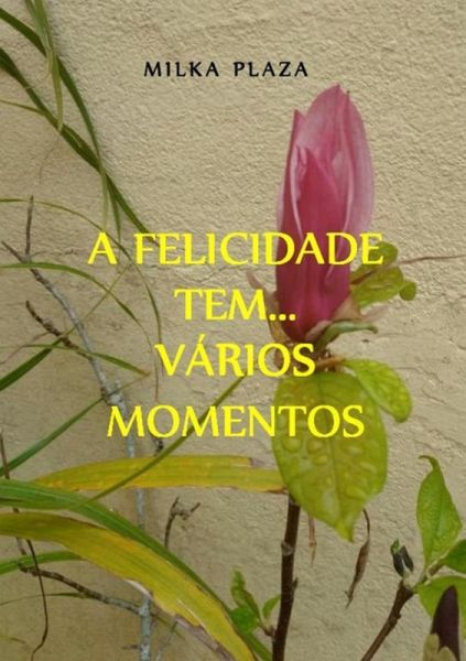 A Felicidade Tem Vários Momentos (eBook, PDF) A Felicidade Tem Vários Momentos (eBook, PDF)