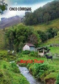 Cover Cinco Córregos (eBook, PDF)