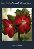 Entre Poesias, Poemas & Crônicas... Canto! (eBook, PDF)