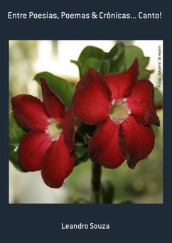 Cover Entre Poesias, Poemas & Crônicas... Canto! (eBook, PDF)
