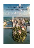 No Meio Do Caminho (eBook, PDF)