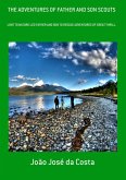 The Adventures Of Father And Son Scouts (eBook, PDF)