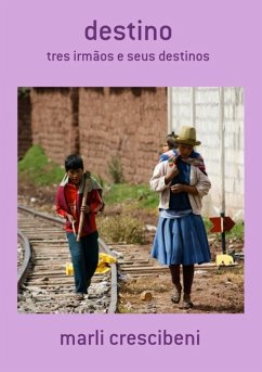 Cover Destino (eBook, PDF)