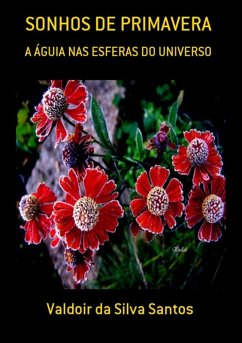 Sonhos De Primavera (eBook, PDF) - Da Santos, Valdoir Silva