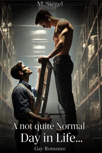 A not quiet Normal Day in Life: Gay Romance (eBook, ePUB)