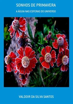 Cover Sonhos De Primavera (eBook, PDF)