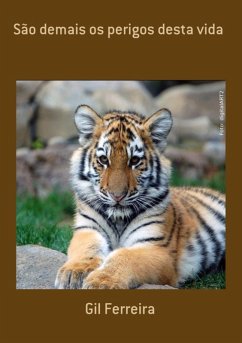 Cover São Demais Os Perigos Desta Vida (eBook, PDF)