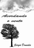 Acordando O Vento (eBook, PDF)