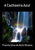 A Cachoeira Azul (eBook, PDF)