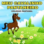 Meu Cavalinho Pantaneiro (eBook, PDF)