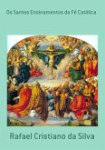 Os Santos Ensinamentos Da Fé Católica (eBook, PDF)