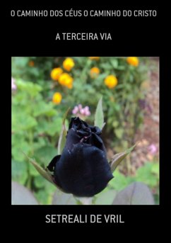 Cover O Caminho Dos Céus O Caminho Do Cristo (eBook, PDF)
