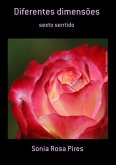 Diferentes Dimensões (eBook, PDF)