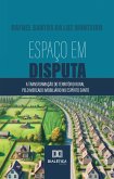Espaço em Disputa (eBook, ePUB)