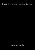 Tomando Forma Através Da Neblina (eBook, PDF)