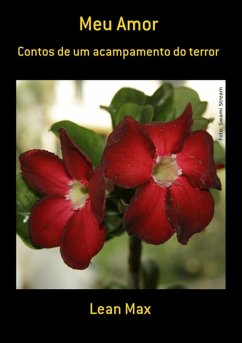 Meu Amor (eBook, PDF) Cover Meu Amor (eBook, PDF)