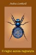 Il ragno senza ragnatela (eBook, ePUB) - Bild 1