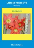Coleção Variada Vii (eBook, PDF) Coleção Variada Vii (eBook, PDF)