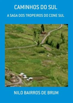 Caminhos Do Sul (eBook, PDF) - de Brum, Nilo Bairros