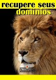 Recupere Seus Domínios (pocket) (eBook, PDF)