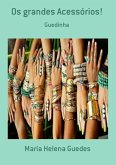 Os Grandes Acessórios! (eBook, PDF)