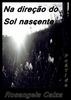 Cover Na Direção Do Sol Nascente (eBook, PDF)