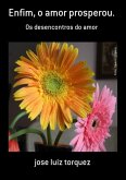 Enfim, O Amor Prosperou. (eBook, PDF)