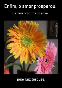 Cover Enfim, O Amor Prosperou. (eBook, PDF)