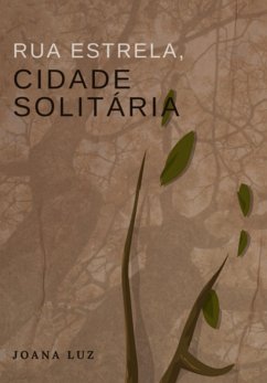 Cover Rua Estrela, Cidade Solitária (eBook, PDF)