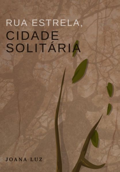 Rua Estrela, Cidade Solitária (eBook, PDF)
