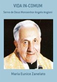Vida In-comum (eBook, PDF)