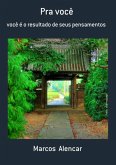 Pra Você (eBook, PDF)