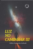 Luz No Caminhar Iii (eBook, PDF)
